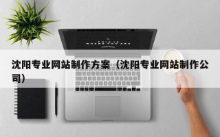 禹州沈阳专业网站制作方案（沈阳专业网站制作公司）